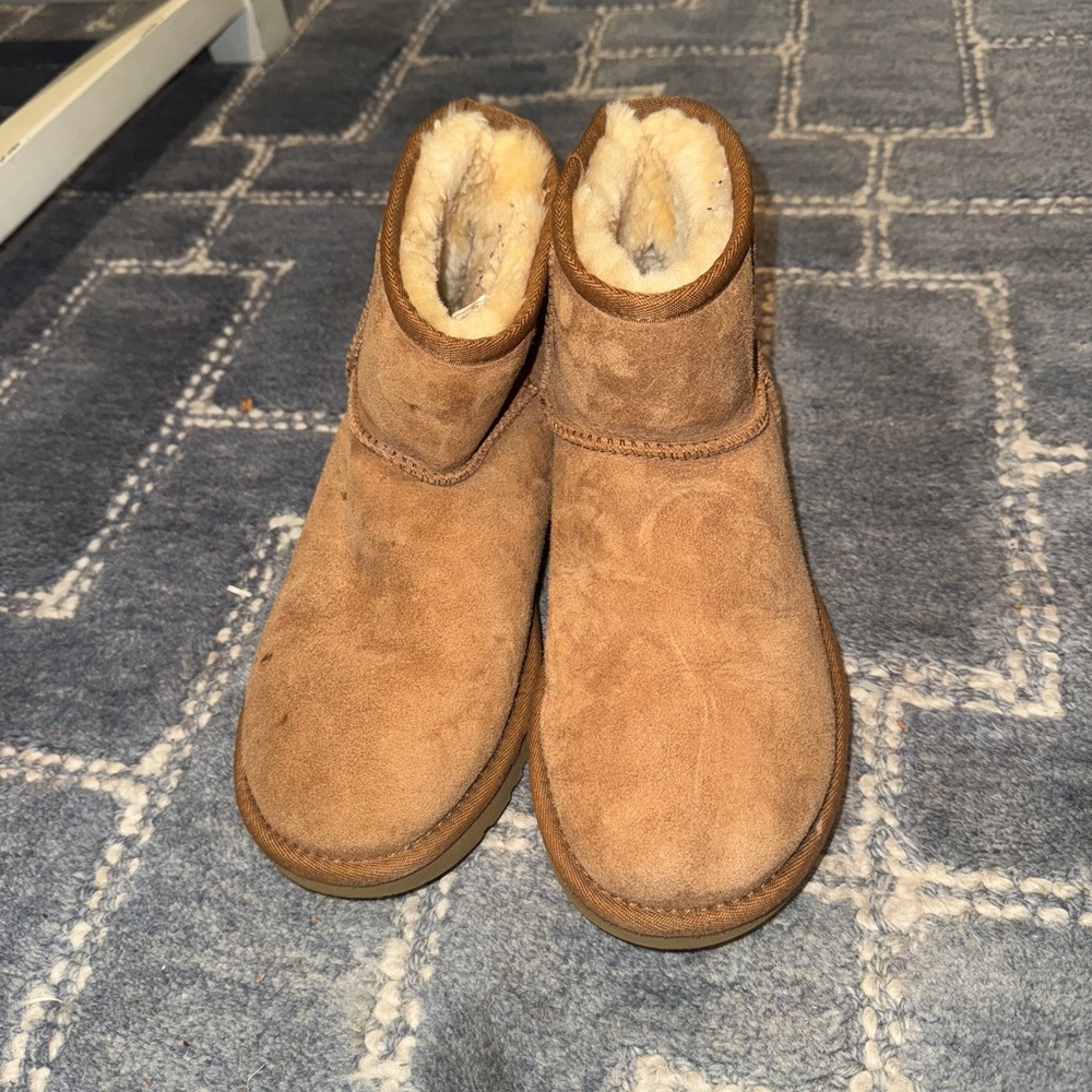 authentic mini chestnut UGGs